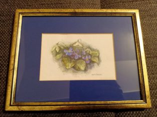 Drawing: “Veilchenstock” violet flower