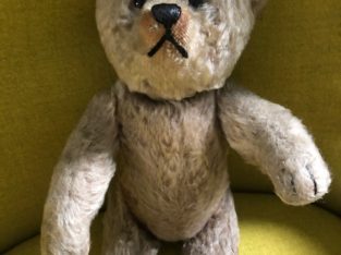 Old teddy bear
