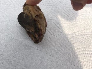 stone