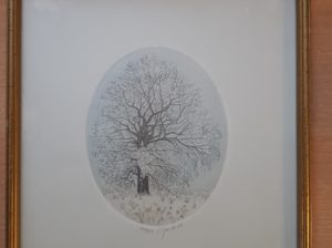 Etching Art – Baum Radierung