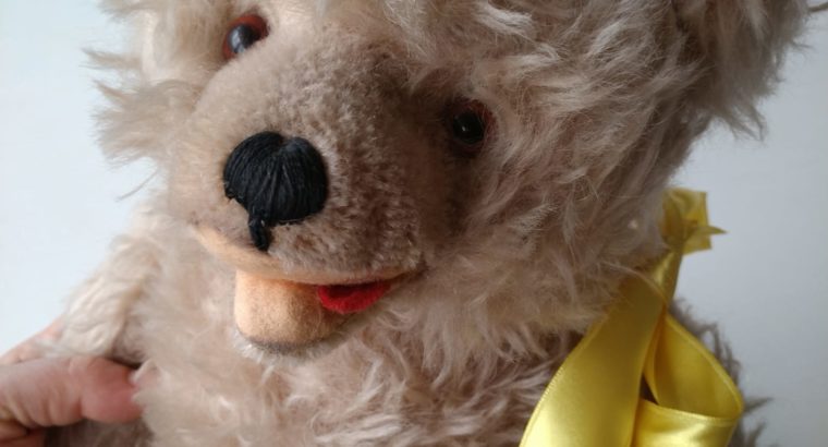 teddy bear – Teddybär