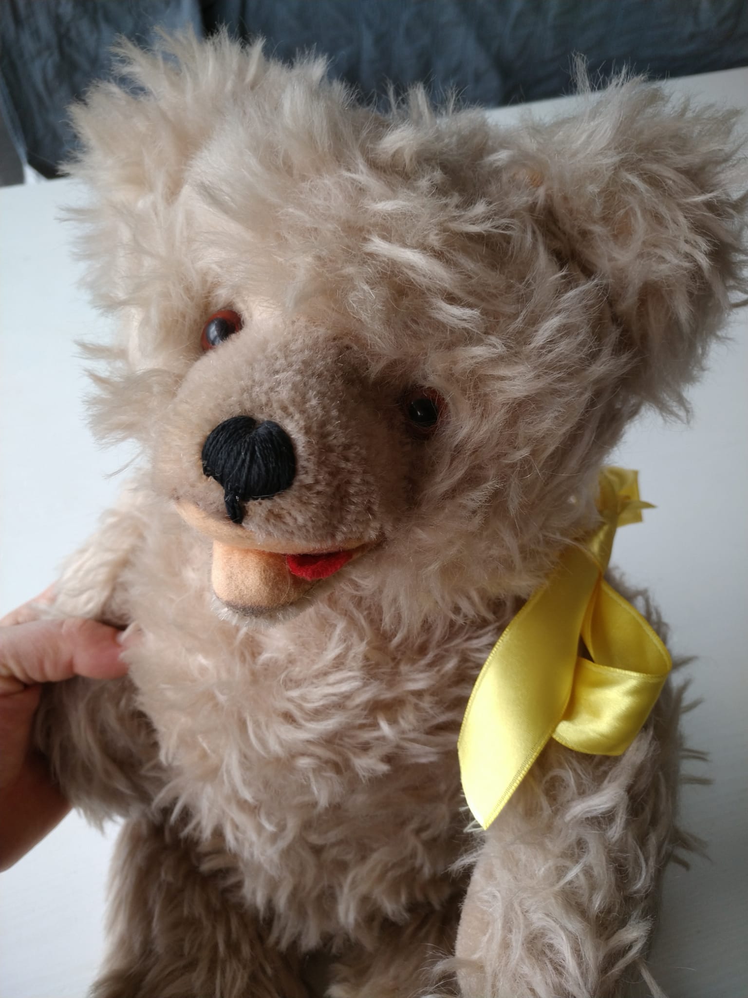 teddy bear – Teddybär